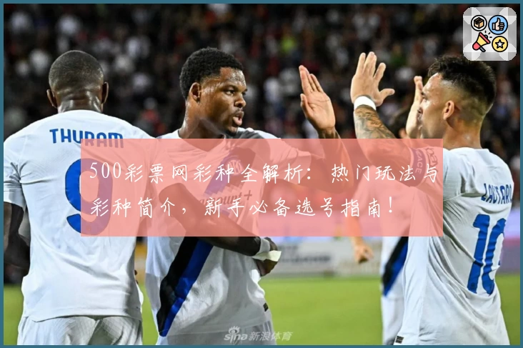 500彩票网彩种全解析：热门玩法与彩种简介，新手必备选号指南！