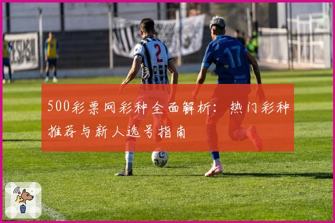 500彩票网彩种全面解析:热门彩种推荐与新人选号指南