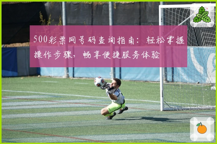 500彩票网号码查询指南：轻松掌握操作步骤，畅享便捷服务体验