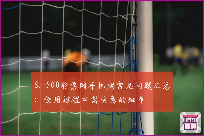 8. 500彩票网手机端常见问题汇总：使用过程中需注意的细节