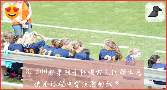 8. 500彩票网手机端常见问题汇总：使用过程中需注意的细节