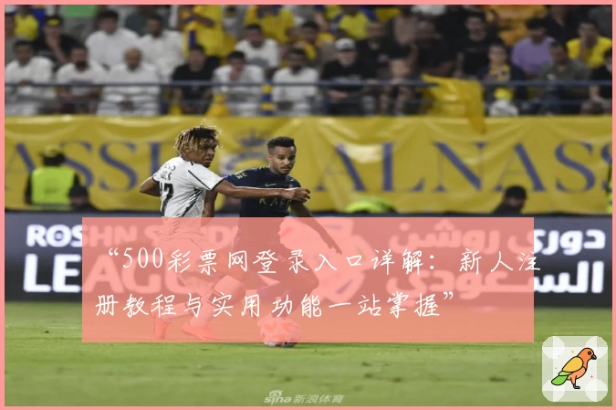 “500彩票网登录入口详解：新人注册教程与实用功能一站掌握”