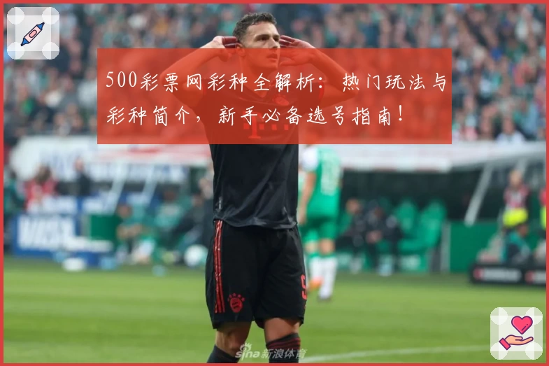 500彩票网彩种全解析：热门玩法与彩种简介，新手必备选号指南！