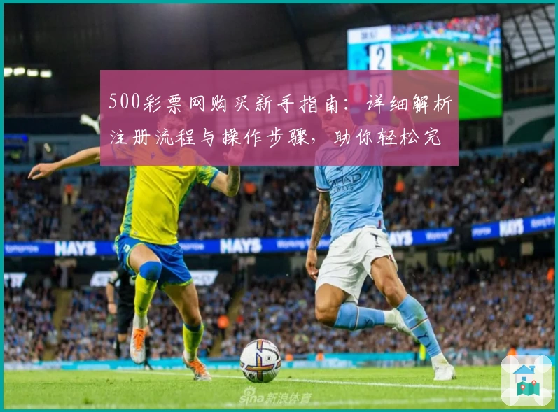 500彩票网购买新手指南：详细解析注册流程与操作步骤，助你轻松完成首单体验