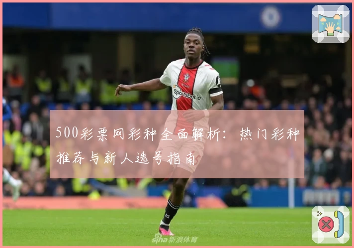 500彩票网彩种全面解析：热门彩种推荐与新人选号指南